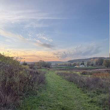 Une scène de campagne paisible au coucher du soleil, avec un chemin vert et herbeux, des buissons sauvages, des collines lointaines, une maison pittoresque et un vaste ciel coloré.