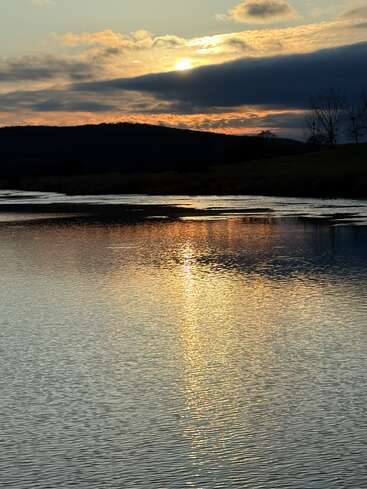 Un coucher de soleil serein jette une lumière dorée sur l'eau ondulante, tandis que des nuages sombres planent au-dessus d'une colline silhouettée et que des arbres dénudés se tiennent tranquillement au bord de la mer.