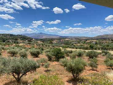 Olive trees spread across a sunlit rural landscape under a vibrant blue sky with scattered clouds. Mountains rise in the background, villages nestled among rolling hills.