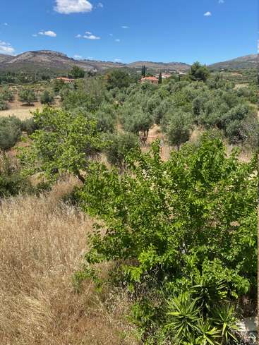 A scenic countryside landscape with green trees, olive groves, dry grass, scattered houses, rolling hills, and a bright blue sky dotted with a few clouds.
