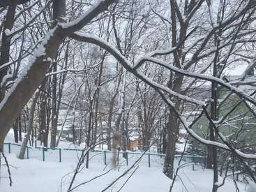 The image depicts a serene winter scene featuring snow-covered trees, a green fence, and a house, with a gray sky in the background, evoking a peaceful atmosphere.