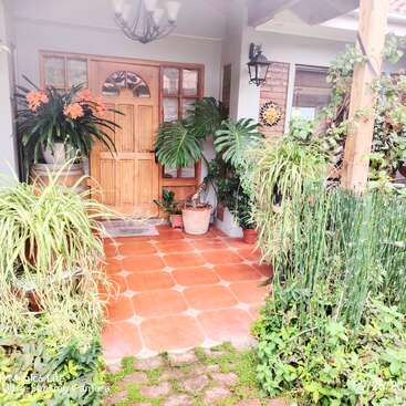 A charming front porch with terracotta tiles, wooden door, lush green plants, potted flowers, brick accents, and wall decor, creating a welcoming and vibrant atmosphere.
