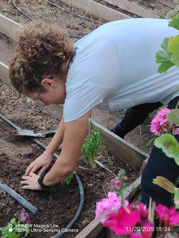 A person with curly hair is planting or tending to plants in a garden bed, surrounded by soil, flowers, and a visible irrigation system under daylight.