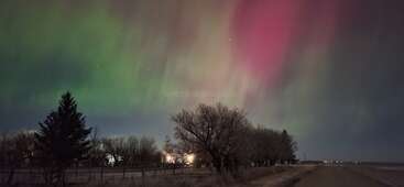 L'image capture un ciel nocturne illuminé par des aurores boréales vertes et roses, avec des silhouettes d'arbres et une route rurale faiblement éclairée sous l'aurore vibrante.