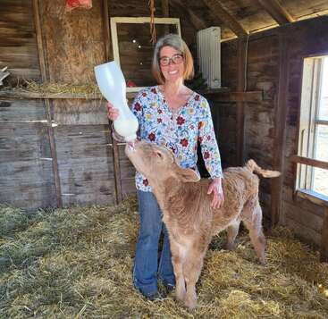 Une femme souriante vêtue d'une chemise à fleurs colorée nourrit au biberon un veau poilu à l'intérieur d'une grange rustique en bois remplie de paille, la lumière du soleil entrant par la fenêtre.
