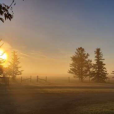 La lumière dorée du soleil coule dans l'air brumeux au-dessus d'un paysage serein, de silhouettes d'arbres, de champs ouverts et d'ombres douces, créant une scène matinale tranquille et paisible.