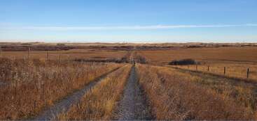 Une route de gravier s'étend à travers des champs de prairie secs et dorés sous un ciel bleu clair. Des clôtures bordent les deux côtés. Le vaste paysage semble calme et ouvert.