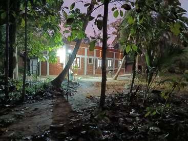 A brick house with glowing lights stands amidst dense greenery and trees at dusk. The ground is damp, and the sky has a purple hue.
