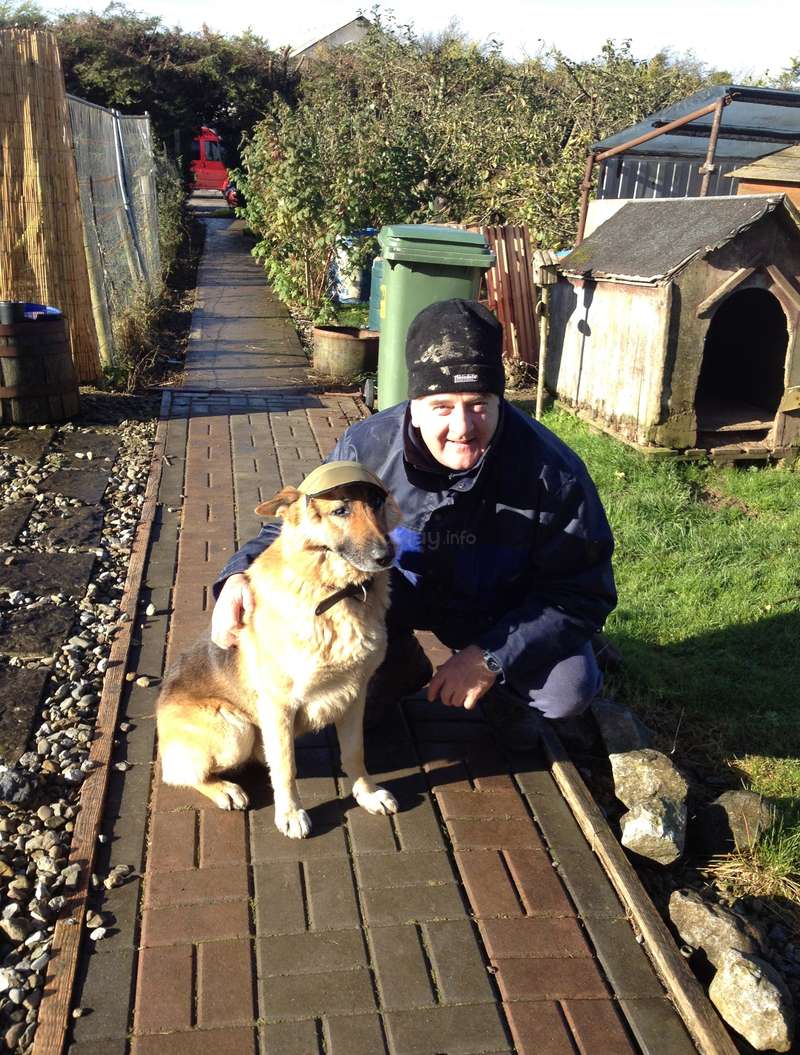 Volunteer to look after the house, gardens and pets in Limerick, Ireland