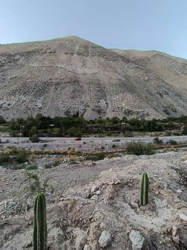 In einer trockenen, felsigen Landschaft stehen zwei kleine Kakteen im Vordergrund. Im Hintergrund erheben sich eine Straße, etwas Grün und ein riesiger, karger Berg.