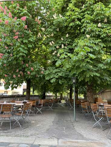 Ein friedliches Café im Freien mit leeren Holztischen und Stühlen unter großen Laubbäumen, rosa und weißen Blüten, einem Steinweg und gedämpftem Sonnenlicht, das eine ruhige Atmosphäre schafft.