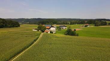 Uma paisagem rural tranquila com campos verdes, uma estrada de terra sinuosa, várias casas e edifícios agrícolas, cercados por árvores sob um céu azul claro.