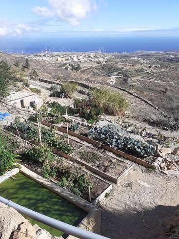 The image depicts a garden situated on a hillside, overlooking a town and the sea, with a small pond and raised beds featuring various plants.