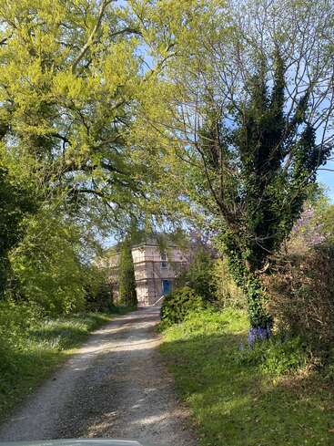 Un camino de grava atraviesa un frondoso bosque y una exuberante vegetación hasta llegar a un edificio de tonos claros en obras, rodeado de naturaleza y bañado por la luz del sol.