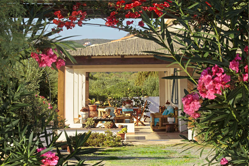 The image depicts a serene outdoor setting, featuring a large house with a spacious yard, surrounded by trees and bushes, with a tranquil atmosphere and a sense of peacefulness.