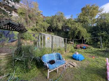This image shows a lush, green backyard with a greenhouse, a blue bench with a black cat, trees, a blue sandbox, and a sunny, blue sky.