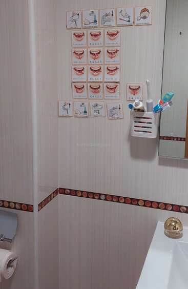Une salle de bains avec des instructions illustrées étape par étape pour se brosser les dents sur le mur, un porte-brosse à dents, du dentifrice, un rouleau de papier hygiénique et une partie d'un miroir visible.