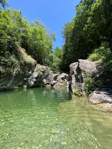 Ein ruhiger, klarer, grüner Bach fließt durch felsiges Gelände, umgeben von üppigem Wald. Das Sonnenlicht scheint herab und zaubert wunderschöne Spiegelungen in dieser friedlichen, naturreichen Szenerie.