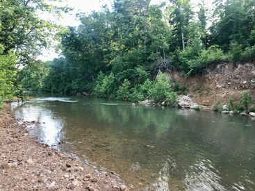 Une rivière claire et peu profonde coule doucement le long d'une rive rocheuse et érodée, entourée d'une forêt dense et luxuriante, sous un ciel lumineux. Scène paisible.