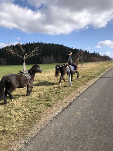 Une personne monte à cheval le long d'une route de campagne, menant un second poney sellé. Le ciel est partiellement nuageux, avec des arbres et de l'herbe verte à proximité.