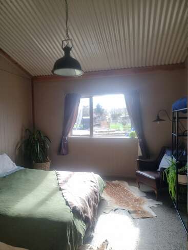 A cozy bedroom with a green bedspread, rustic corrugated ceiling, large window with curtains, ample sunlight, armchair, plants, animal hide rug, and industrial pendant light.