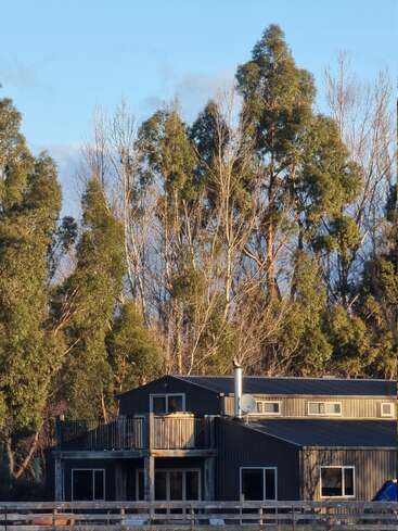 Ein modernes, dunkles Haus mit großen Fenstern und einem Balkon steht vor hohen, teilweise kahlen Bäumen, die in warmem, goldenem Sonnenlicht liegen. Friedliche Umgebung.