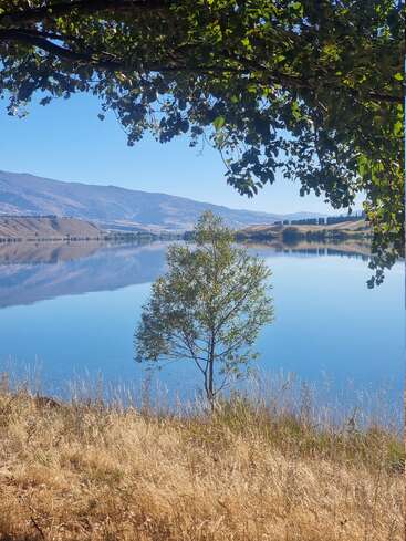 Eine heitere Seeszene mit ruhigem, blauem Wasser, einem einzelnen Baum im Vordergrund, goldenem Gras, fernen Hügeln und belaubten Ästen, die den klaren Himmel einrahmen.