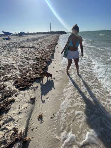 Eine Frau in Bikini-Oberteil und Shorts spaziert am Ufer entlang, ihr Hund an ihrer Seite. Die sonnige Strandszene zeigt verstreutes Seegras und Menschen in der Ferne.