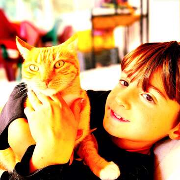 A smiling child holds a ginger cat close, both faces bright and content. The background is colorful and blurred, highlighting their warm and affectionate bond.
