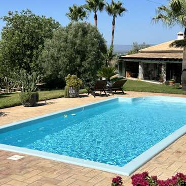 Un hermoso patio trasero cuenta con una piscina azul resplandeciente, rodeada de exuberante vegetación, palmeras, tumbonas, plantas en macetas y una acogedora casa bajo un cielo despejado.