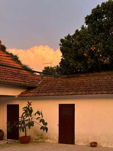 An orange-tinged evening sky contrasts with rustic tiled roofs, a fruit-laden tree, two wooden doors, potted plants, and warm sunlight creating a cozy atmosphere.