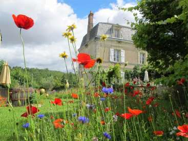 La imagen representa una serena escena de jardín con una gran casa al fondo y una vibrante variedad de flores silvestres en primer plano.