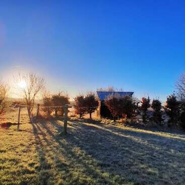 A serene countryside scene at sunrise, featuring a small shed, frosted grass, long tree shadows, clear blue sky, bare trees, and peaceful natural beauty.