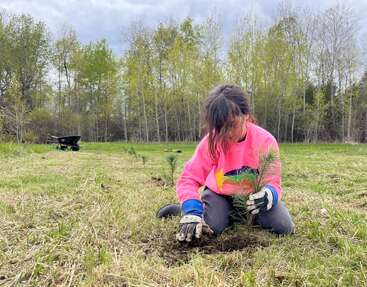 A child wearing gloves and a bright pink sweatshirt plants a small tree in an open grassy field, surrounded by young saplings and green trees in the background.