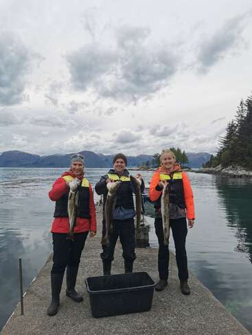 Three people in life jackets proudly hold large fish on a dock by scenic water, with mountains, trees, and cloudy sky in the background, celebrating their catch.