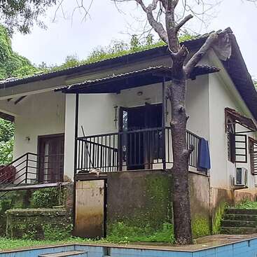 A small house with a slanted roof and a front porch, surrounded by greenery. Moss covers the base, and there’s a tree in front. Peaceful setting.
