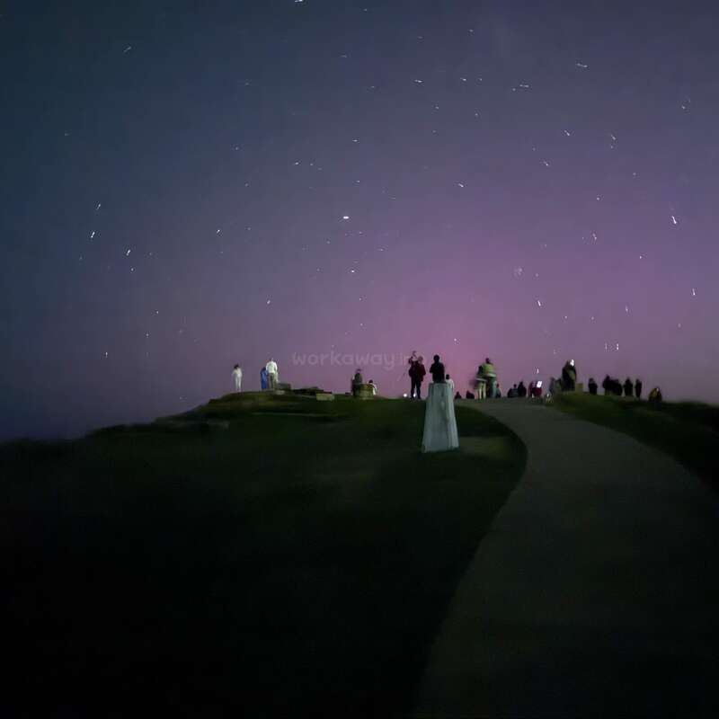A group of people stands on a hill under a starry night sky, illuminated by a soft purple glow, creating a serene, dreamy atmosphere.