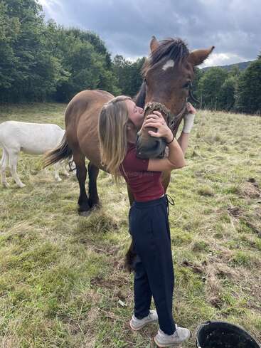 Uma jovem abraça e beija carinhosamente um cavalo marrom em um campo gramado, enquanto um cavalo branco pasta nas proximidades. Árvores e céu nublado os cercam.