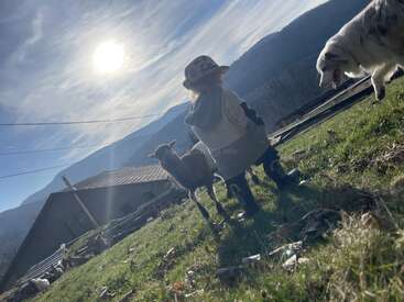 A young child in a hat stands outdoors on a grassy hillside with a goat and a dog nearby, bathed in bright sunlight and mountains.