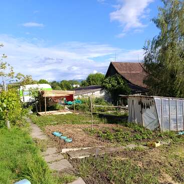 A sunny rural garden with green plants, a small greenhouse, a wooden shed, and a rustic path. Blue sky and scattered clouds in the background.