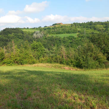 This image shows a serene countryside landscape with grassy fields, dense green trees, rolling hills, distant house, and a partly cloudy blue sky overhead. Peaceful and inviting.