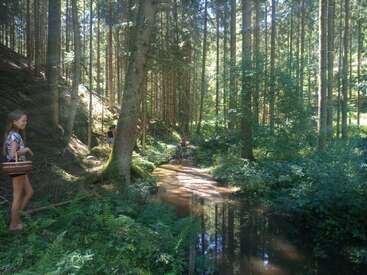 Uma jovem segurando uma cesta está ao lado de um tranquilo riacho na floresta. A luz do sol passa pelas árvores altas, criando uma cena tranquila, verde e serena na floresta.