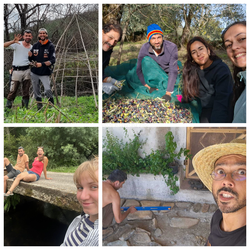 Four photos show people enjoying outdoor activities: building structures, harvesting olives, relaxing by water, and working with stones, all surrounded by nature and greenery.