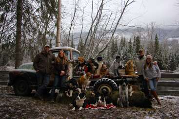 Four people and numerous dogs pose together around and on an old truck in a snowy, forested outdoor setting, all bundled up for cold weather.