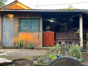 Uma casa rústica com telhado de metal, janela com grades, porta de madeira e plantas na frente. A área externa contém vários vasos de plantas e utensílios domésticos. Luz do sol da tarde.