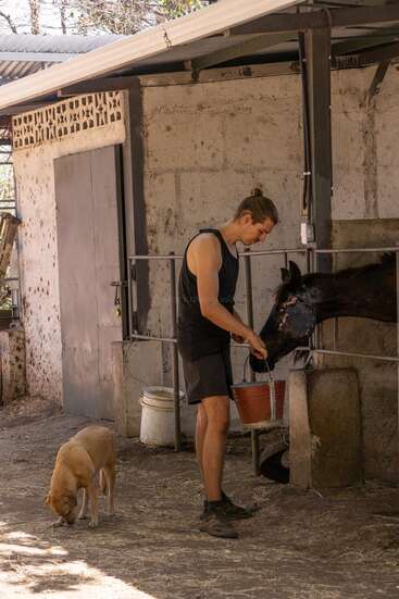 A man in a black tank top feeds a black horse at a stable, while a brown dog sniffs the ground nearby. The scene is peaceful.