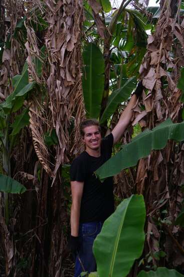 A smiling person in a black shirt and gloves stands among tall banana plants, surrounded by green leaves and dry, brown foliage, enjoying the outdoors.