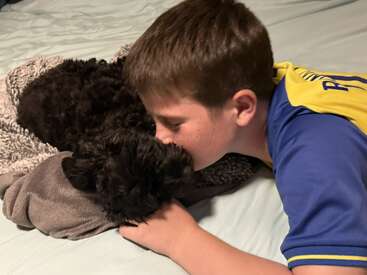 Un jeune garçon vêtu d'une chemise bleue et jaune câline un petit chien noir duveteux sur un lit, lui témoignant de l'amour et de l'affection par un doux baiser.