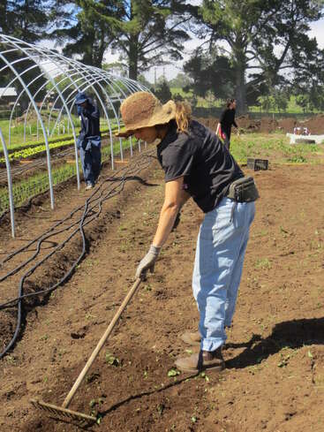 Una mujer con sombrero y guantes rastrilla la tierra en un jardín. Otras personas trabajan cerca, cuidando los cultivos bajo estructuras de aros metálicos, rodeadas de árboles y luz solar.