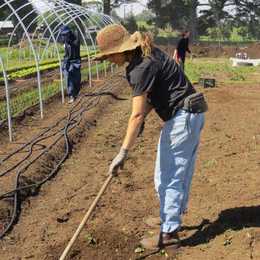 Uma mulher usando chapéu de sol e luvas remexe a terra em um jardim. Outras pessoas trabalham nas proximidades, cuidando das plantações sob estruturas de metal, cercadas por árvores e luz solar.